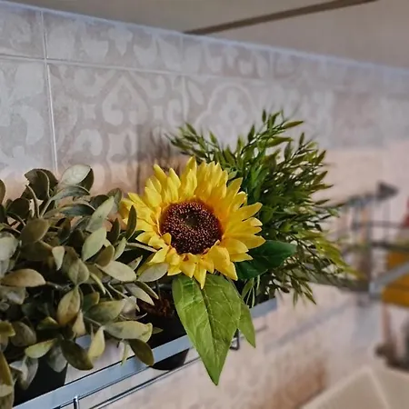 Tatil Evi House Victoria